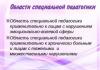 História do desenvolvimento da Fonoaudiologia como ciência na Rússia e no exterior Apresentação sobre o tema história do desenvolvimento da Fonoaudiologia